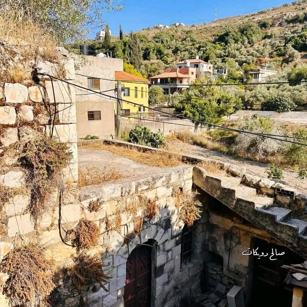 من قرية إجنسنيا شمال غرب نابلس   تصوير صالح دويكات